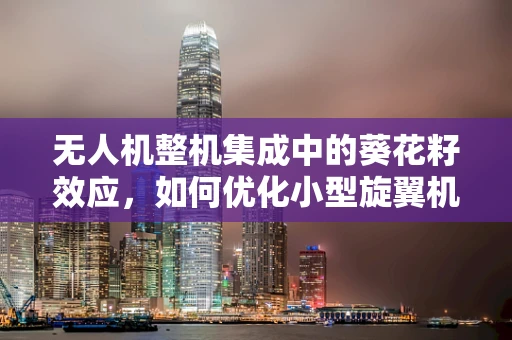 无人机整机集成中的葵花籽效应，如何优化小型旋翼机的负载与稳定性？