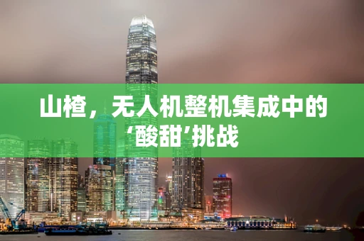 山楂，无人机整机集成中的‘酸甜’挑战