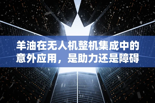 羊油在无人机整机集成中的意外应用，是助力还是障碍？