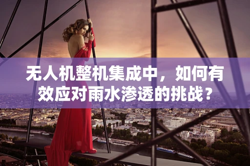 无人机整机集成中，如何有效应对雨水渗透的挑战？