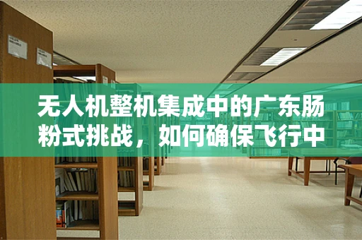 无人机整机集成中的广东肠粉式挑战，如何确保飞行中的味觉安全？