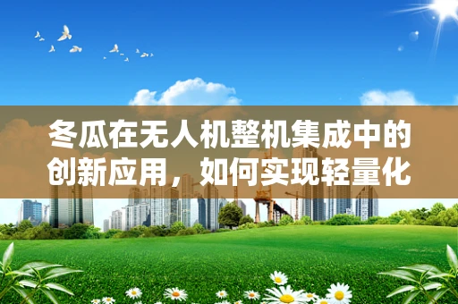 冬瓜在无人机整机集成中的创新应用，如何实现轻量化与结构优化的完美结合？