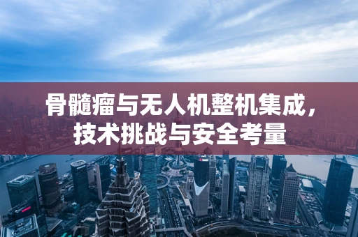 骨髓瘤与无人机整机集成，技术挑战与安全考量