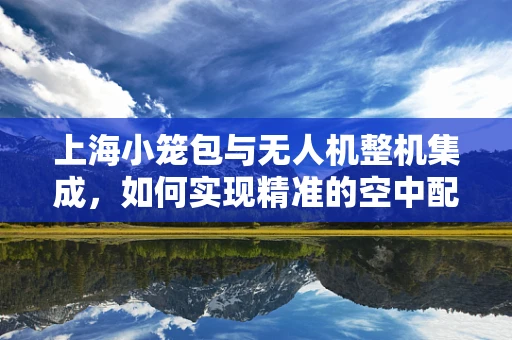 上海小笼包与无人机整机集成，如何实现精准的空中配送？
