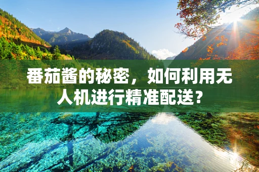 番茄酱的秘密，如何利用无人机进行精准配送？