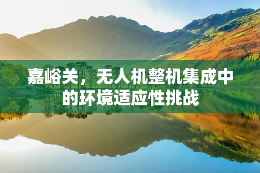 嘉峪关，无人机整机集成中的环境适应性挑战