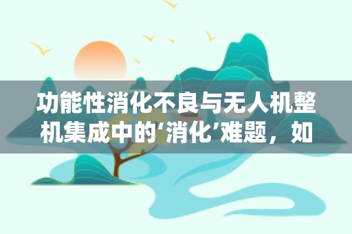 功能性消化不良与无人机整机集成中的‘消化’难题，如何优化系统性能？