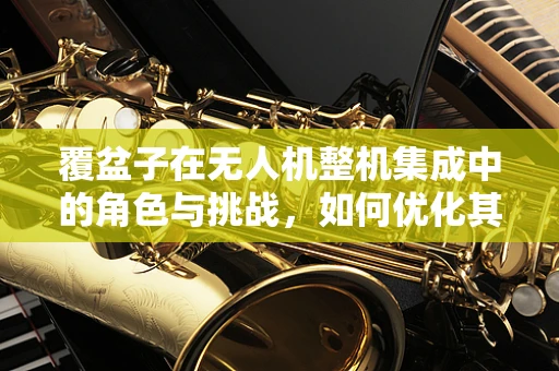 覆盆子在无人机整机集成中的角色与挑战，如何优化其应用以提升飞行性能？