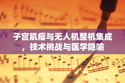 子宫肌瘤与无人机整机集成，技术挑战与医学隐喻