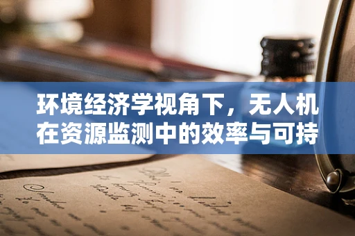 环境经济学视角下，无人机在资源监测中的效率与可持续性平衡如何实现？