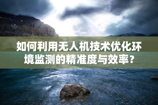 如何利用无人机技术优化环境监测的精准度与效率？