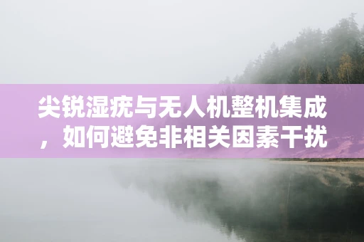 尖锐湿疣与无人机整机集成，如何避免非相关因素干扰？