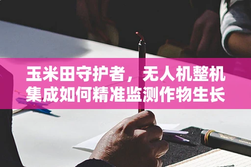 玉米田守护者，无人机整机集成如何精准监测作物生长？