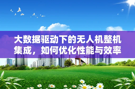 大数据驱动下的无人机整机集成，如何优化性能与效率？