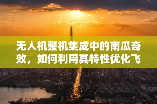 无人机整机集成中的南瓜奇效，如何利用其特性优化飞行稳定性？
