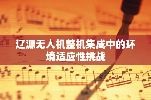 辽源无人机整机集成中的环境适应性挑战