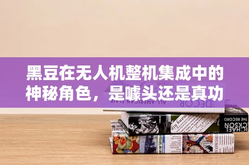 黑豆在无人机整机集成中的神秘角色，是噱头还是真功夫？