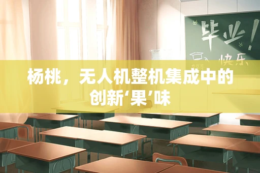 杨桃，无人机整机集成中的创新‘果’味