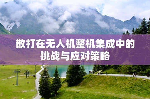 散打在无人机整机集成中的挑战与应对策略