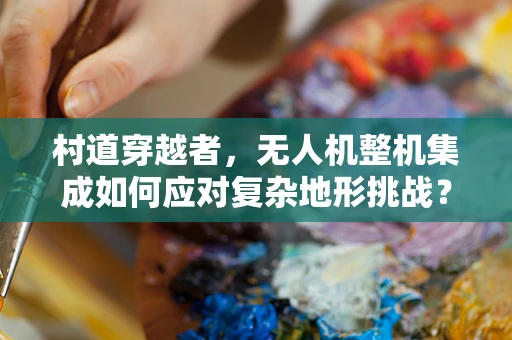 村道穿越者，无人机整机集成如何应对复杂地形挑战？