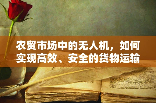 农贸市场中的无人机，如何实现高效、安全的货物运输？