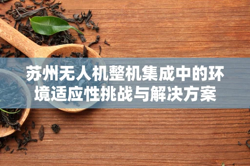 苏州无人机整机集成中的环境适应性挑战与解决方案