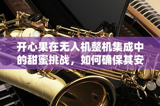 开心果在无人机整机集成中的甜蜜挑战，如何确保其安全与效能？