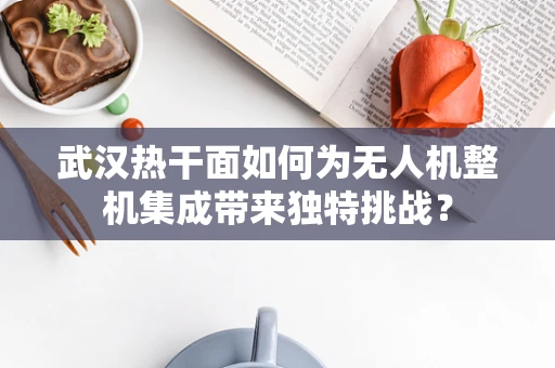 武汉热干面如何为无人机整机集成带来独特挑战？