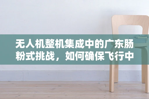 无人机整机集成中的广东肠粉式挑战，如何确保飞行中的美食安全？
