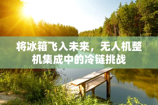 将冰箱飞入未来，无人机整机集成中的冷链挑战