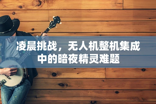凌晨挑战，无人机整机集成中的暗夜精灵难题