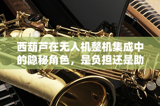 西葫芦在无人机整机集成中的隐秘角色，是负担还是助力？
