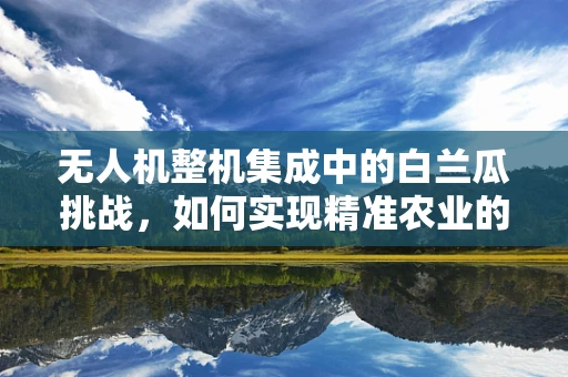 无人机整机集成中的白兰瓜挑战，如何实现精准农业的甜蜜飞跃？