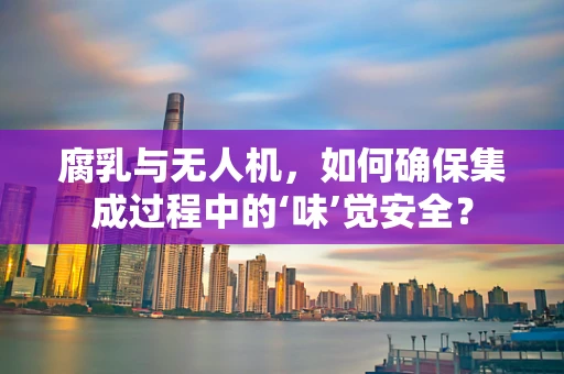 腐乳与无人机，如何确保集成过程中的‘味’觉安全？