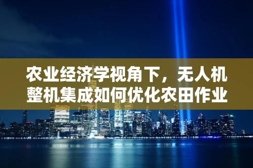 农业经济学视角下，无人机整机集成如何优化农田作业效率？