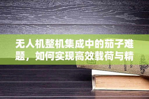 无人机整机集成中的茄子难题，如何实现高效载荷与精准定位？