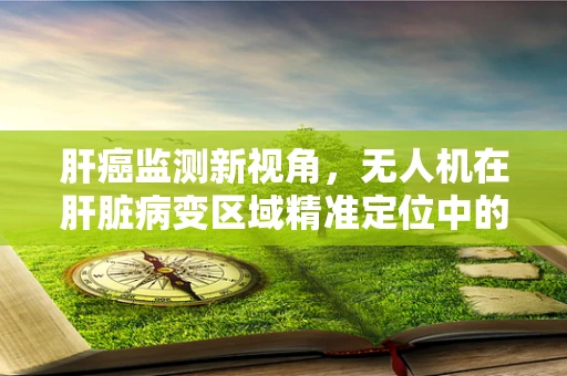 肝癌监测新视角，无人机在肝脏病变区域精准定位中的应用挑战