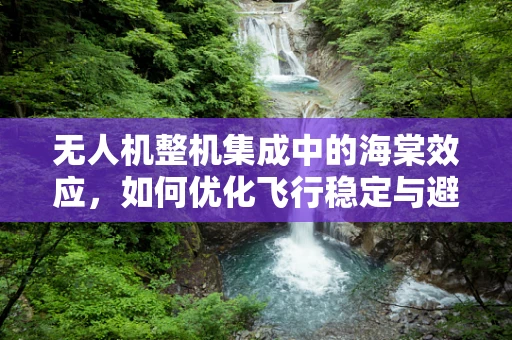 无人机整机集成中的海棠效应，如何优化飞行稳定与避障性能？