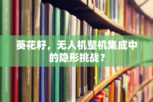 葵花籽，无人机整机集成中的隐形挑战？