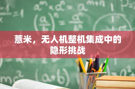 薏米，无人机整机集成中的隐形挑战