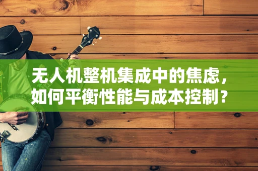 无人机整机集成中的焦虑，如何平衡性能与成本控制？