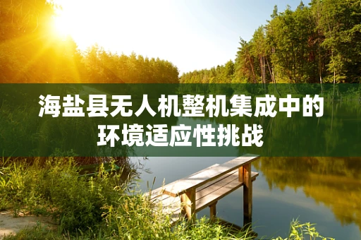 海盐县无人机整机集成中的环境适应性挑战