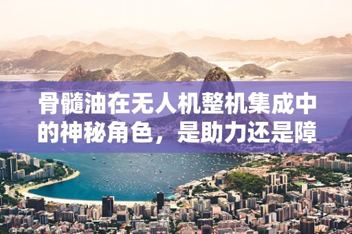 骨髓油在无人机整机集成中的神秘角色，是助力还是障碍？