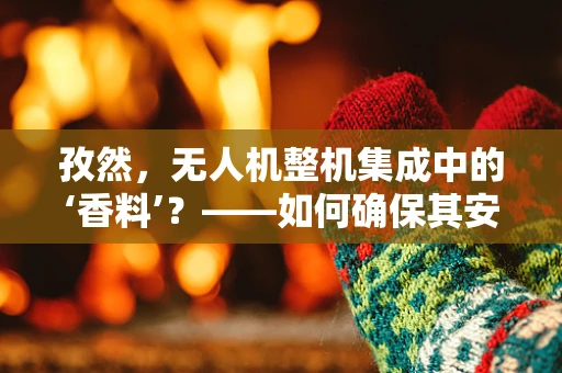 孜然，无人机整机集成中的‘香料’？——如何确保其安全应用？