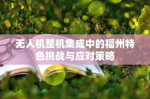 无人机整机集成中的福州特色挑战与应对策略