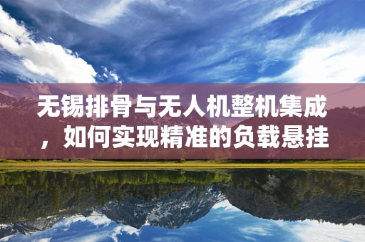 无锡排骨与无人机整机集成，如何实现精准的负载悬挂系统？