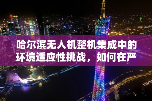 哈尔滨无人机整机集成中的环境适应性挑战，如何在严寒中翱翔？