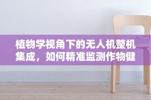 植物学视角下的无人机整机集成，如何精准监测作物健康？