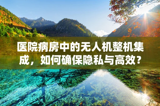 医院病房中的无人机整机集成，如何确保隐私与高效？