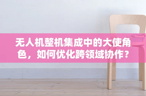 无人机整机集成中的大使角色，如何优化跨领域协作？